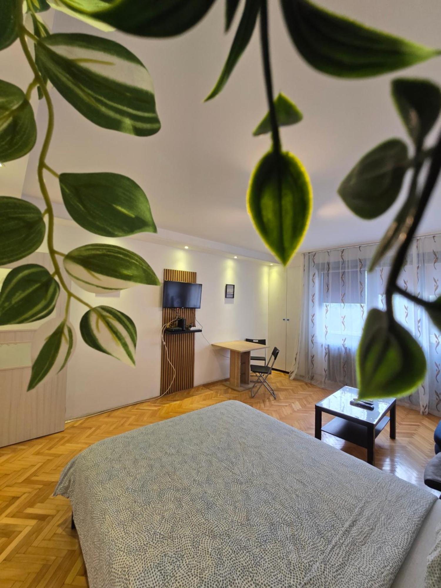 Azzurro Studio Apartment Белград Екстериор снимка