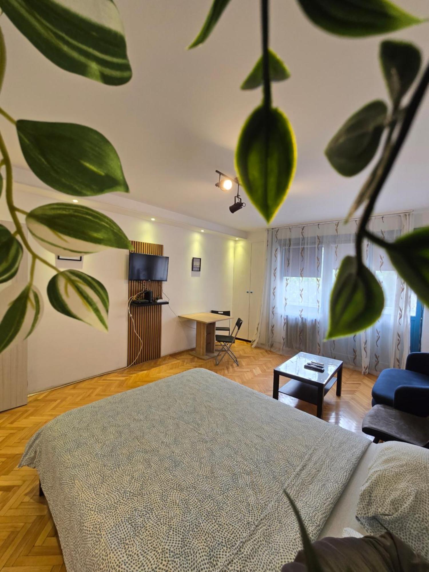 Azzurro Studio Apartment Белград Екстериор снимка